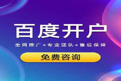SEM推广公司成功案例：助力企业实现品牌多元化发展
